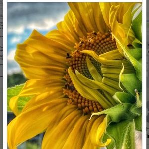 Meet your Posher, Joan